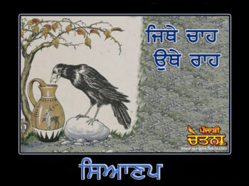 Punjabi_Wise_Crow